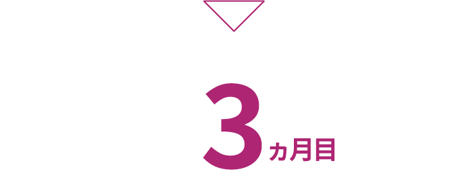 3ヵ月目