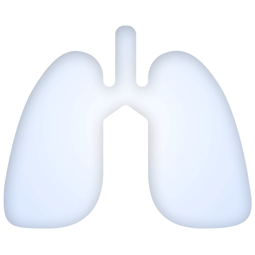 LUNG PRINT