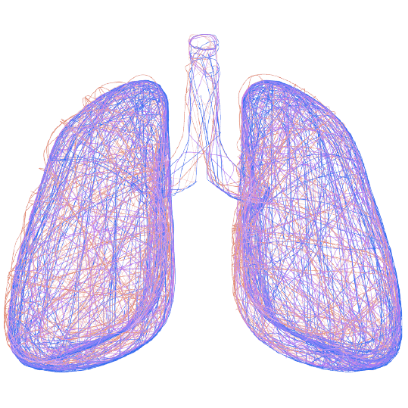 LUNG PRINT