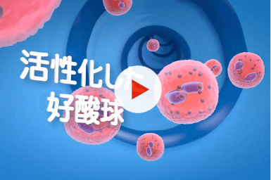 好酸球がぜん息患者さんの気道の炎症を起こす様子